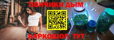 мдпв Бийск