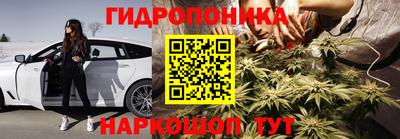 мдпв Бийск