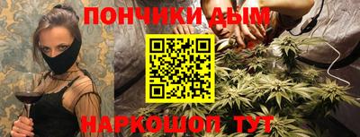 мдпв Бийск