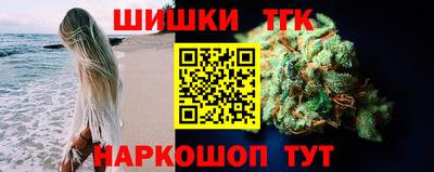 мдпв Бийск