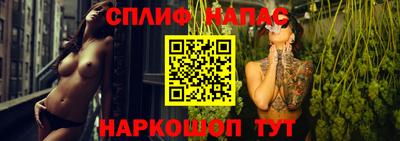 амф Берёзовский