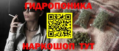мдпв Бийск