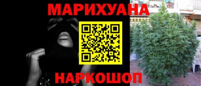 мдпв Бийск