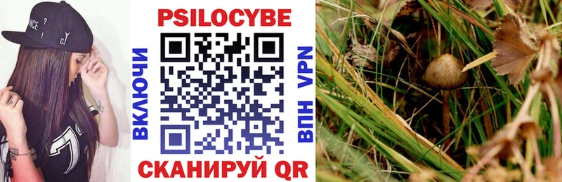 купить закладку  Воткинск  Псилоцибиновые грибы мухоморы 