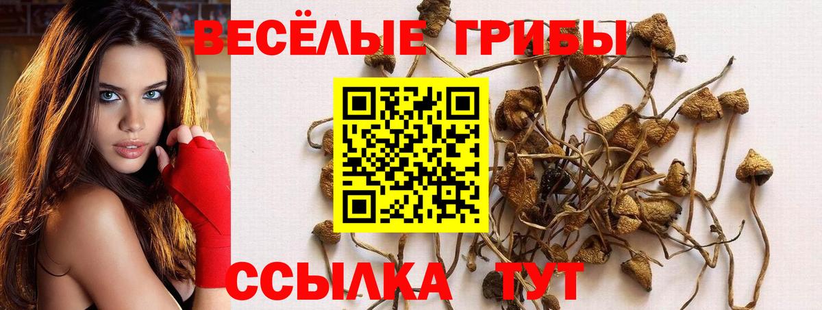 Псилоцибиновые грибы GOLDEN TEACHER  Вход с VPN  Воткинск 